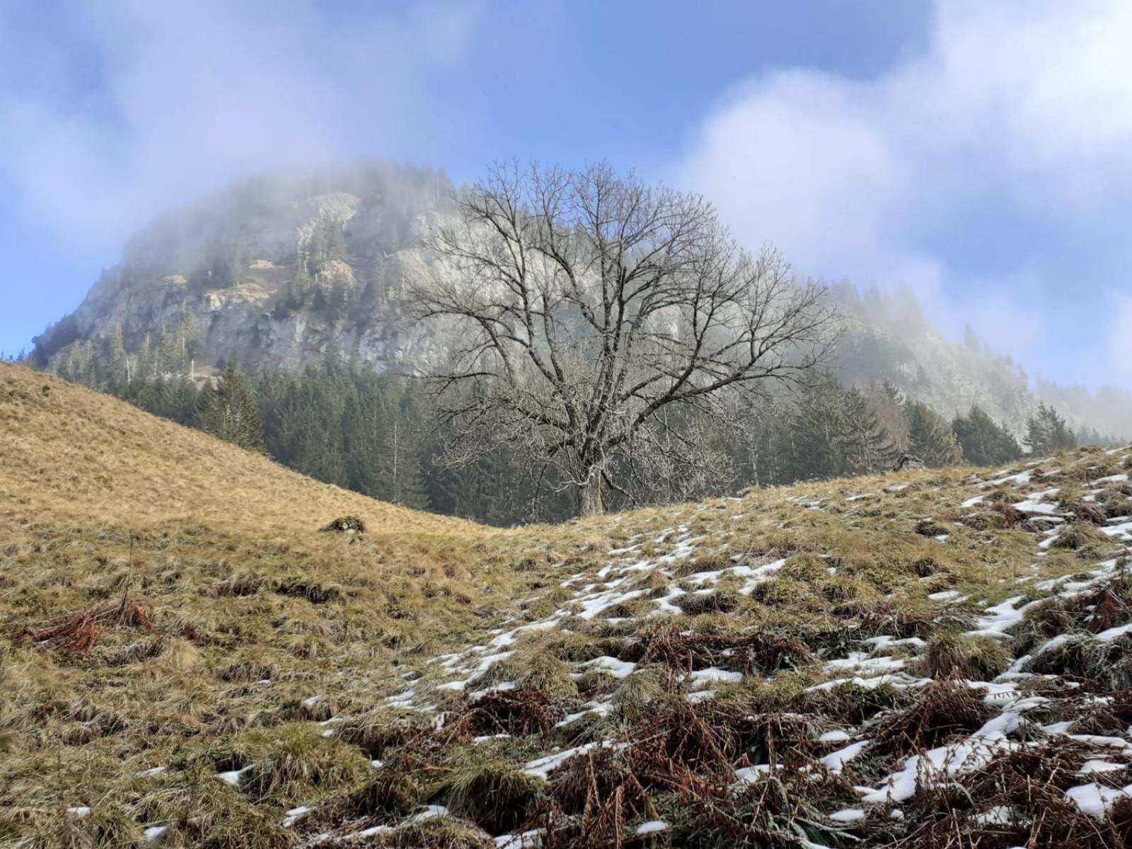 Berggasthof Sonne Allgaeu Sonthofen Kültér fotó